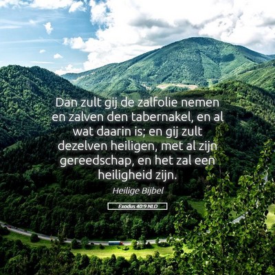Picture 05 - Exodus 40:9 NLD - Dan zult gij de zalfolie nemen en zalven den - Bible Verse Picture
