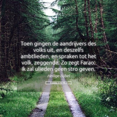 Picture 05 - Exodus 5:10 NLD - Toen gingen de aandrijvers des volks uit, en - Bible Verse Picture