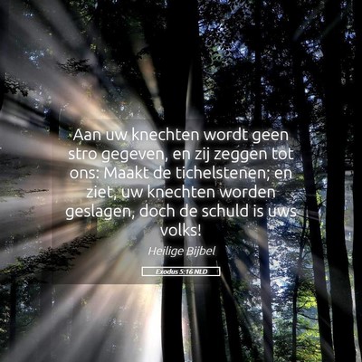 Picture 05 - Exodus 5:16 NLD - Aan uw knechten wordt geen stro gegeven, en zij - Bible Verse Picture