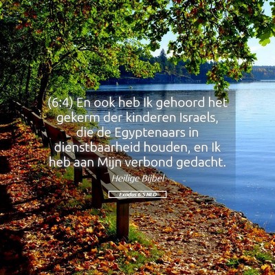 Picture 05 - Exodus 6:5 NLD - (6:4) En ook heb Ik gehoord het gekerm der - Bible Verse Picture