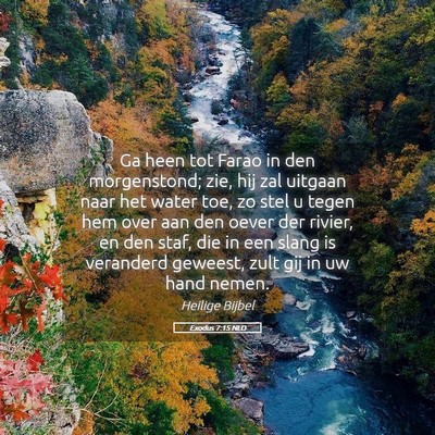 Picture 05 - Exodus 7:15 NLD - Ga heen tot Farao in den morgenstond; zie, hij - Bible Verse Picture