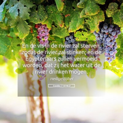 Picture 05 - Exodus 7:18 NLD - En de vis in de rivier zal sterven, zodat de - Bible Verse Picture