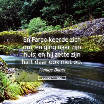 Picture 05 - Exodus 7:23 NLD - En Farao keerde zich om, en ging naar zijn huis; - Bible Verse Picture