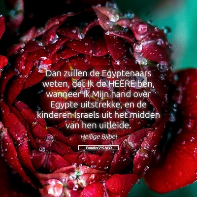 Picture 05 - Exodus 7:5 NLD - Dan zullen de Egyptenaars weten, dat Ik de HEERE - Bible Verse Picture