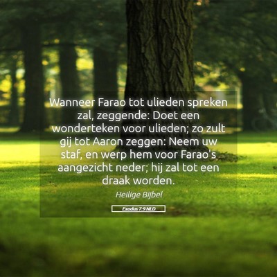 Picture 05 - Exodus 7:9 NLD - Wanneer Farao tot ulieden spreken zal, zeggende: - Bible Verse Picture