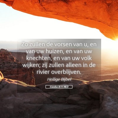 Picture 05 - Exodus 8:11 NLD - Zo zullen de vorsen van u, en van uw huizen, en - Bible Verse Picture