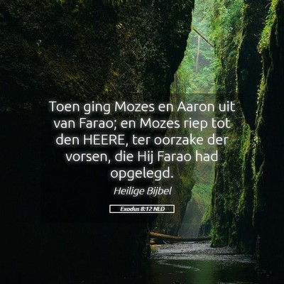 Picture 05 - Exodus 8:12 NLD - Toen ging Mozes en Aaron uit van Farao; en Mozes - Bible Verse Picture