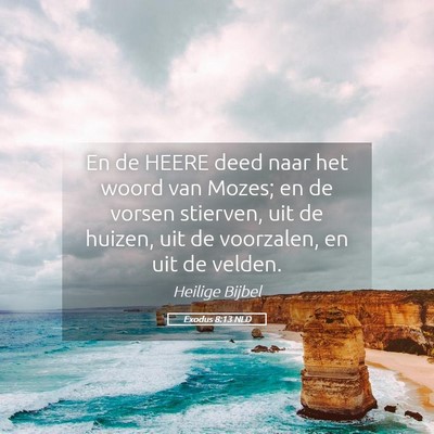 Picture 05 - Exodus 8:13 NLD - En de HEERE deed naar het woord van Mozes; en de - Bible Verse Picture