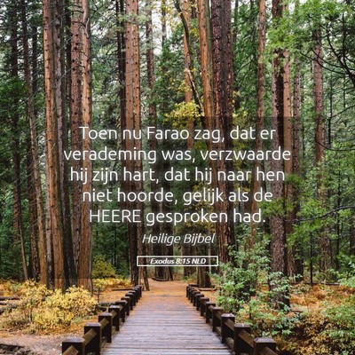 Picture 05 - Exodus 8:15 NLD - Toen nu Farao zag, dat er verademing was, - Bible Verse Picture