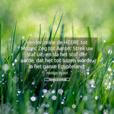 Picture 05 - Exodus 8:16 NLD - Verder zeide de HEERE tot Mozes: Zeg tot Aaron: - Bible Verse Picture