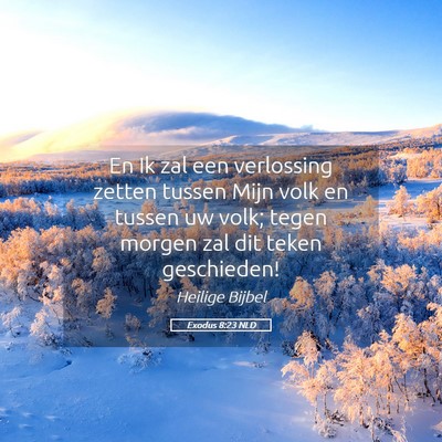 Picture 05 - Exodus 8:23 NLD - En Ik zal een verlossing zetten tussen Mijn volk - Bible Verse Picture