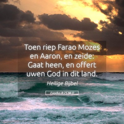Picture 05 - Exodus 8:25 NLD - Toen riep Farao Mozes en Aaron, en zeide: Gaat - Bible Verse Picture