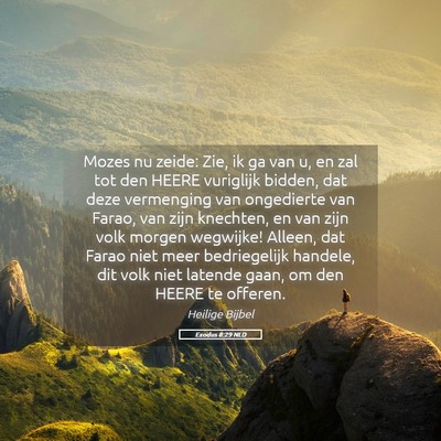 Picture 05 - Exodus 8:29 NLD - Mozes nu zeide: Zie, ik ga van u, en zal tot den - Bible Verse Picture