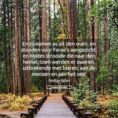 Picture 05 - Exodus 9:10 NLD - En zij namen as uit den oven, en stonden voor - Bible Verse Picture