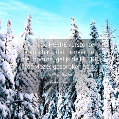 Picture 05 - Exodus 9:12 NLD - Doch de HEERE verstokte Farao's hart, dat hij - Bible Verse Picture