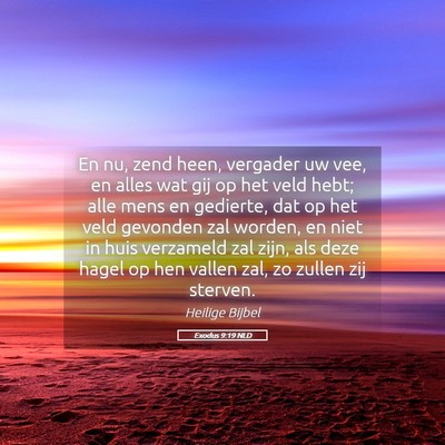 Picture 05 - Exodus 9:19 NLD - En nu, zend heen, vergader uw vee, en alles wat - Bible Verse Picture