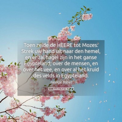 Picture 05 - Exodus 9:22 NLD - Toen zeide de HEERE tot Mozes: Strek uw hand uit - Bible Verse Picture