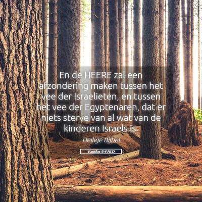 Picture 05 - Exodus 9:4 NLD - En de HEERE zal een afzondering maken tussen het - Bible Verse Picture