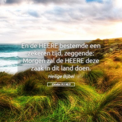 Picture 05 - Exodus 9:5 NLD - En de HEERE bestemde een zekeren tijd, zeggende: - Bible Verse Picture