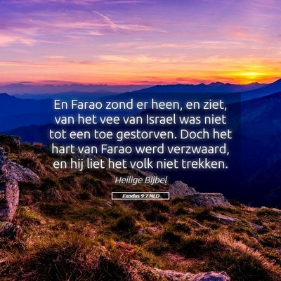 Picture 05 - Exodus 9:7 NLD - En Farao zond er heen, en ziet, van het vee van - Bible Verse Picture