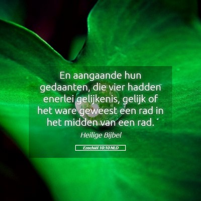 Picture 05 - Ezechiël 10:10 NLD - En aangaande hun gedaanten, die vier hadden - Bible Verse Picture