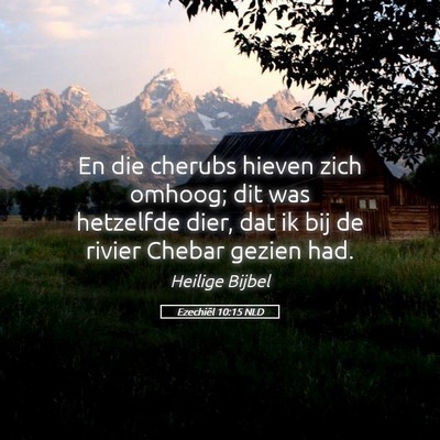 Picture 05 - Ezechiël 10:15 NLD - En die cherubs hieven zich omhoog; dit was - Bible Verse Picture