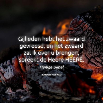 Picture 05 - Ezechiël 11:8 NLD - Gijlieden hebt het zwaard gevreesd; en het zwaard - Bible Verse Picture