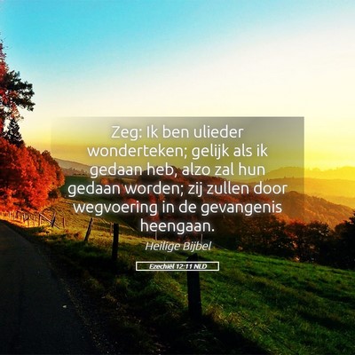 Picture 05 - Ezechiël 12:11 NLD - Zeg: Ik ben ulieder wonderteken; gelijk als ik - Bible Verse Picture