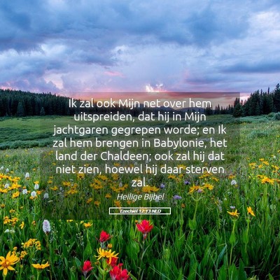 Picture 05 - Ezechiël 12:13 NLD - Ik zal ook Mijn net over hem uitspreiden, dat hij - Bible Verse Picture
