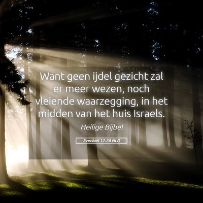 Picture 05 - Ezechiël 12:24 NLD - Want geen ijdel gezicht zal er meer wezen, noch - Bible Verse Picture
