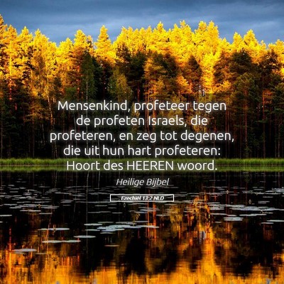 Picture 05 - Ezechiël 13:2 NLD - Mensenkind, profeteer tegen de profeten Israels, - Bible Verse Picture