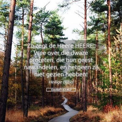 Picture 05 - Ezechiël 13:3 NLD - Zo zegt de Heere HEERE: Wee over die dwaze - Bible Verse Picture