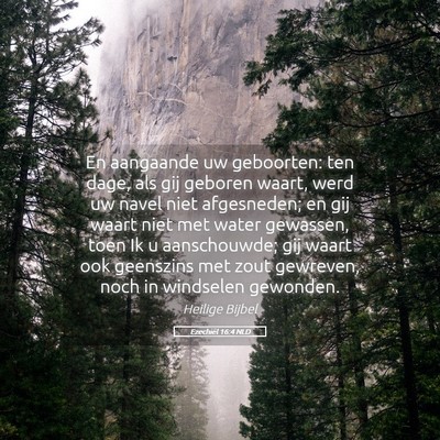 Picture 05 - Ezechiël 16:4 NLD - En aangaande uw geboorten: ten dage, als gij - Bible Verse Picture