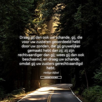 Picture 05 - Ezechiël 16:52 NLD - Draag gij dan ook uw schande, gij, die voor uw - Bible Verse Picture