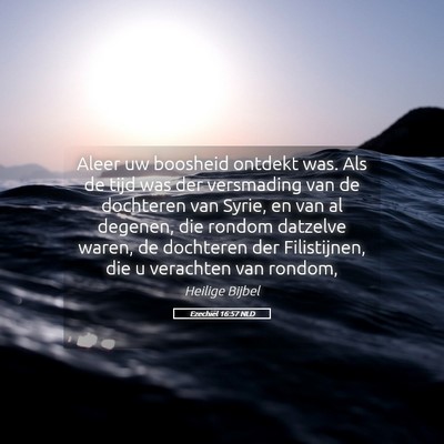Picture 05 - Ezechiël 16:57 NLD - Aleer uw boosheid ontdekt was. Als de tijd was - Bible Verse Picture