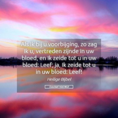 Picture 05 - Ezechiël 16:6 NLD - Als Ik bij u voorbijging, zo zag Ik u, vertreden - Bible Verse Picture