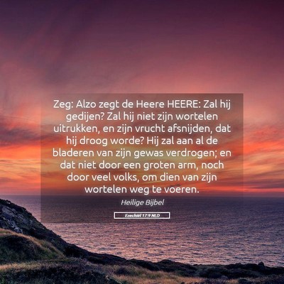 Picture 05 - Ezechiël 17:9 NLD - Zeg: Alzo zegt de Heere HEERE: Zal hij gedijen? - Bible Verse Picture