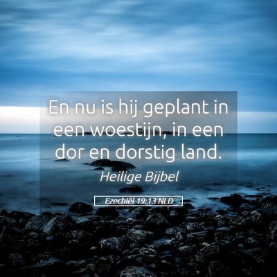 Picture 05 - Ezechiël 19:13 NLD - En nu is hij geplant in een woestijn, in een dor - Bible Verse Picture