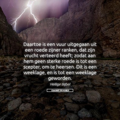 Picture 05 - Ezechiël 19:14 NLD - Daartoe is een vuur uitgegaan uit een roede - Bible Verse Picture