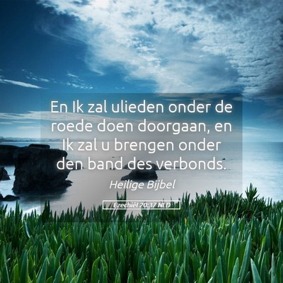 Picture 05 - Ezechiël 20:37 NLD - En Ik zal ulieden onder de roede doen doorgaan, - Bible Verse Picture