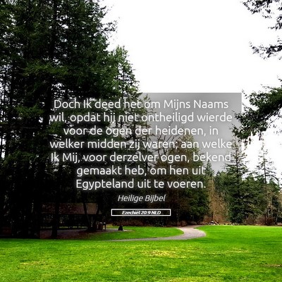 Picture 05 - Ezechiël 20:9 NLD - Doch Ik deed het om Mijns Naams wil, opdat hij - Bible Verse Picture
