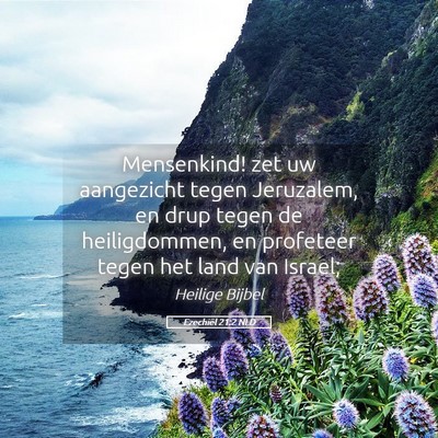 Picture 05 - Ezechiël 21:2 NLD - Mensenkind! zet uw aangezicht tegen Jeruzalem, en - Bible Verse Picture