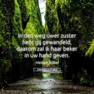 Picture 05 - Ezechiël 23:31 NLD - In den weg uwer zuster hebt gij gewandeld, daarom - Bible Verse Picture