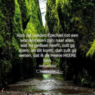 Picture 05 - Ezechiël 24:24 NLD - Alzo zal ulieden Ezechiel tot een wonderteken - Bible Verse Picture