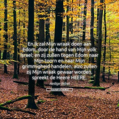 Picture 05 - Ezechiël 25:14 NLD - En Ik zal Mijn wraak doen aan Edom, door de hand - Bible Verse Picture
