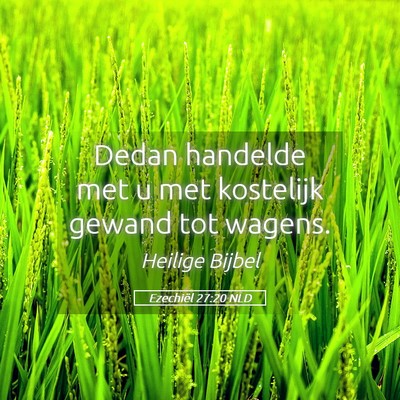 Picture 05 - Ezechiël 27:20 NLD - Dedan handelde met u met kostelijk gewand tot - Bible Verse Picture