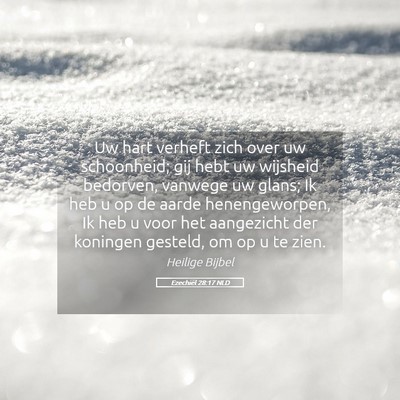 Picture 05 - Ezechiël 28:17 NLD - Uw hart verheft zich over uw schoonheid; gij hebt - Bible Verse Picture