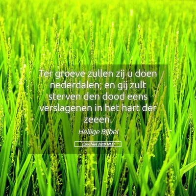 Picture 05 - Ezechiël 28:8 NLD - Ter groeve zullen zij u doen nederdalen; en gij - Bible Verse Picture