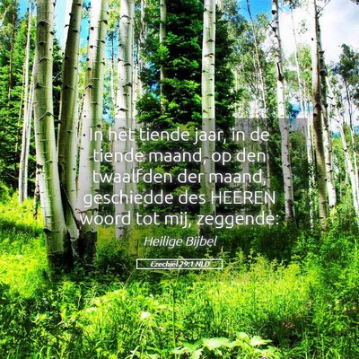 Picture 05 - Ezechiël 29:1 NLD - In het tiende jaar, in de tiende maand, op den - Bible Verse Picture