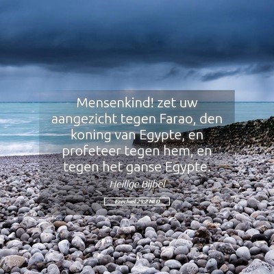 Picture 05 - Ezechiël 29:2 NLD - Mensenkind! zet uw aangezicht tegen Farao, den - Bible Verse Picture
